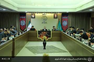 IMG_1411 copy
